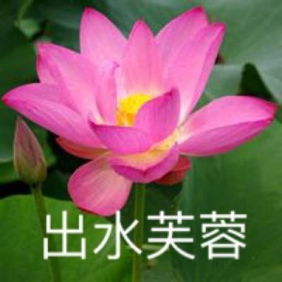 武炼皇城手游(暂未上线)v1.01 安卓版