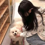 双龙战纪手游